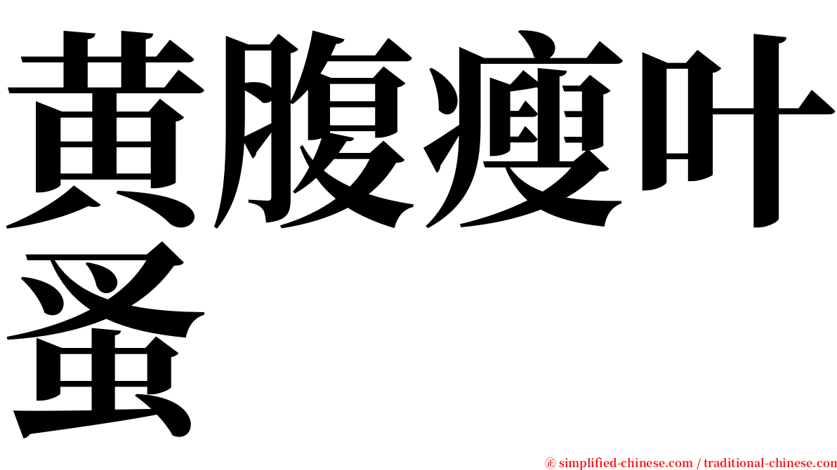 黄腹瘦叶蚤 serif font