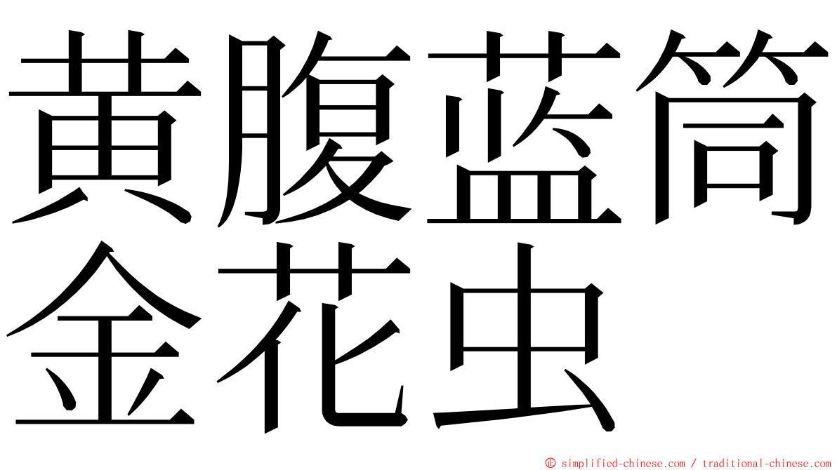 黄腹蓝筒金花虫 ming font