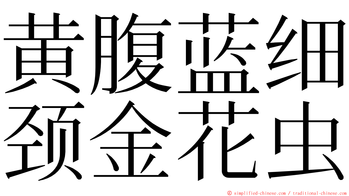 黄腹蓝细颈金花虫 ming font