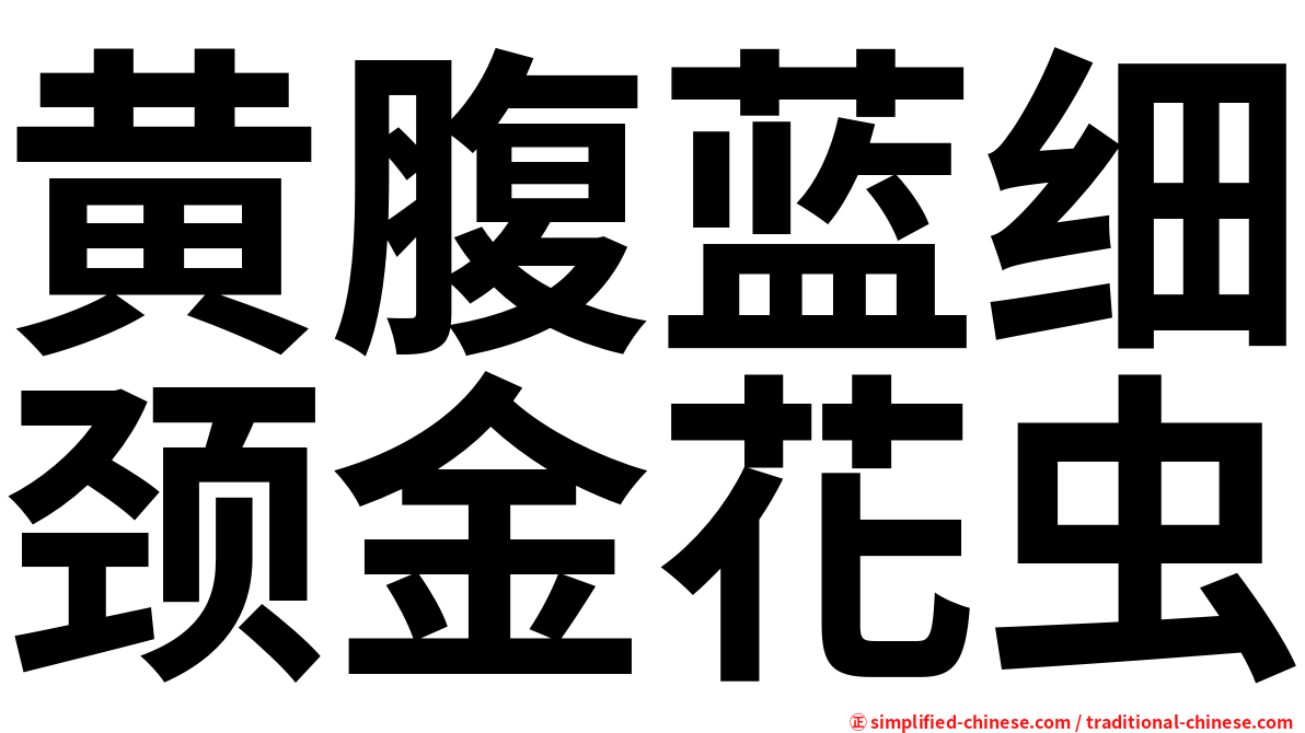 黄腹蓝细颈金花虫