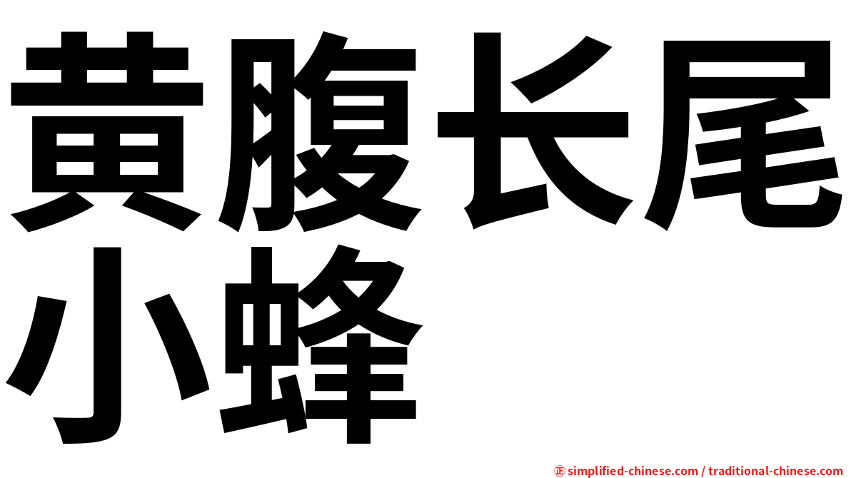 黄腹长尾小蜂