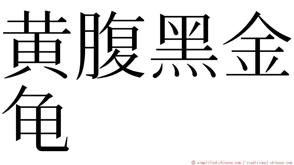 黄腹黑金龟 ming font