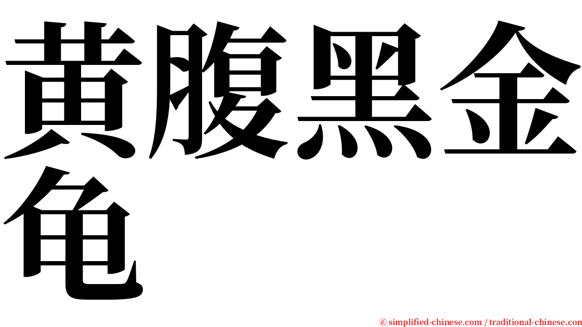 黄腹黑金龟 serif font