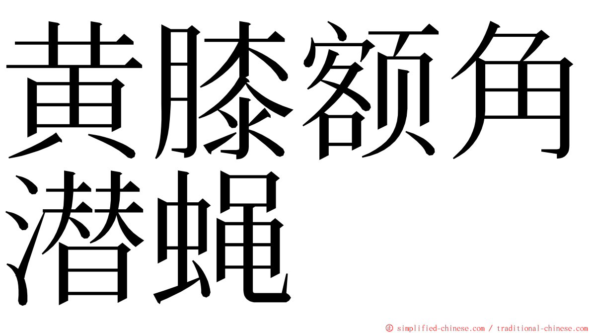 黄膝额角潜蝇 ming font