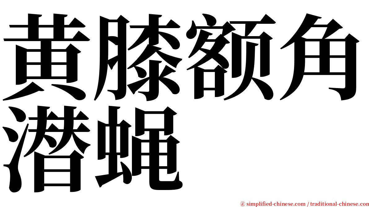 黄膝额角潜蝇 serif font