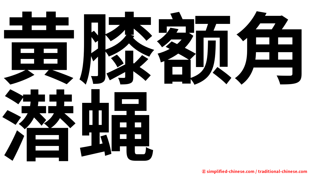 黄膝额角潜蝇