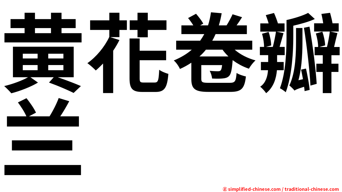 黄花卷瓣兰