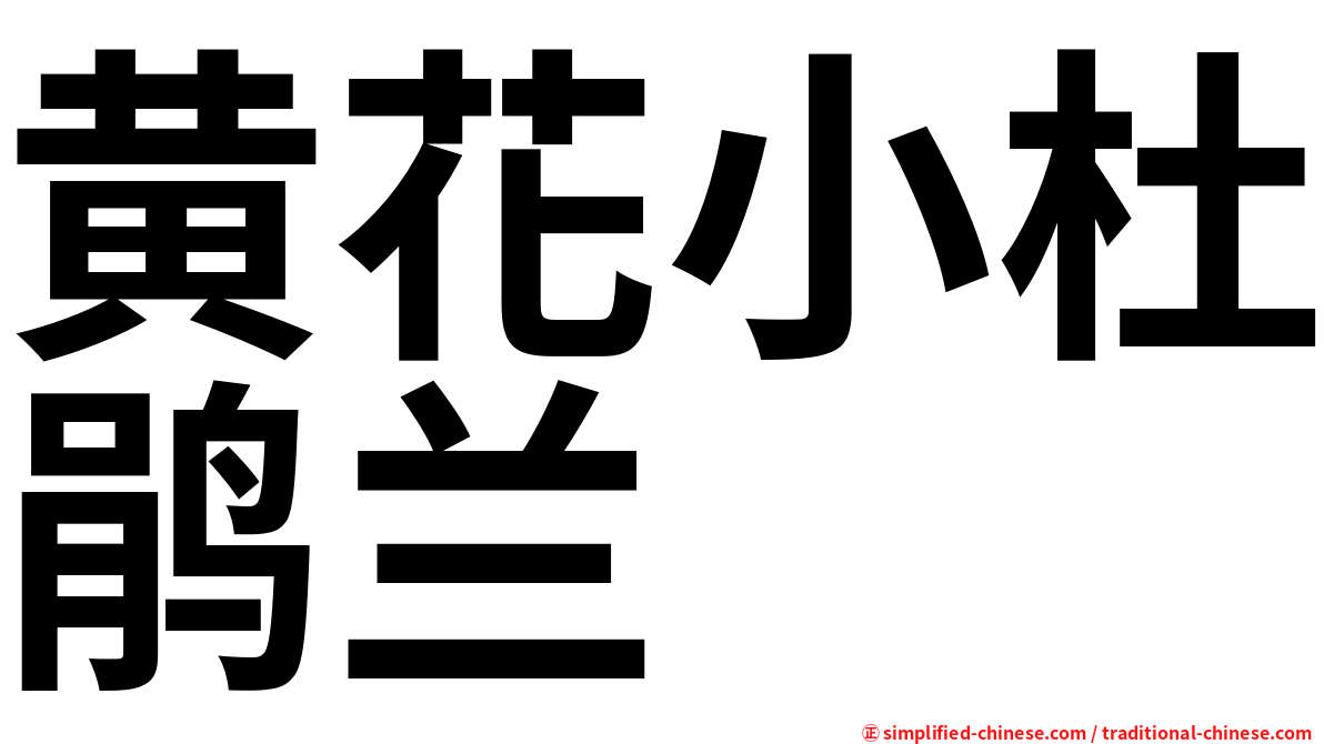 黄花小杜鹃兰