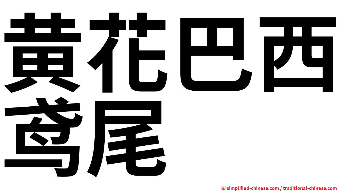 黄花巴西鸢尾