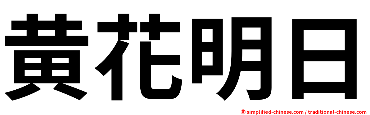 黄花明日