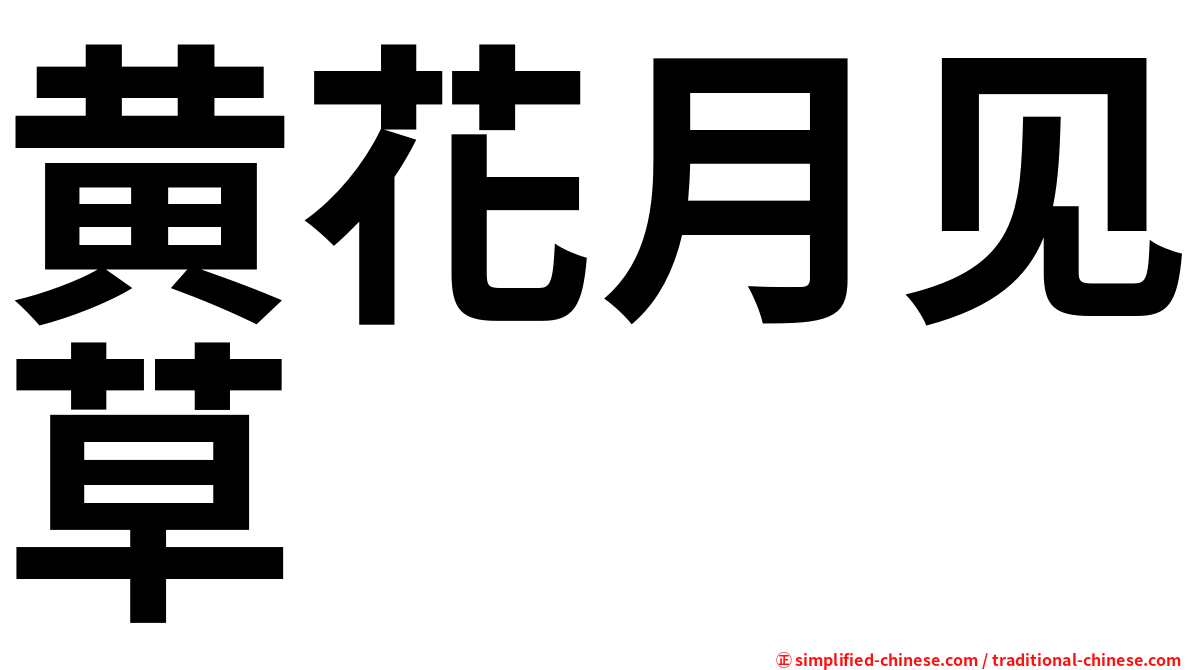 黄花月见草