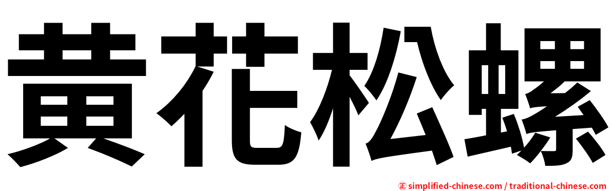 黄花松螺