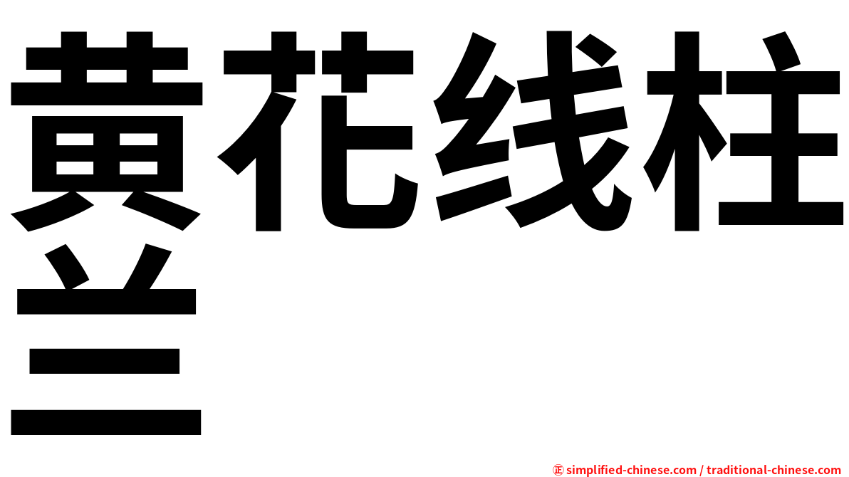 黄花线柱兰