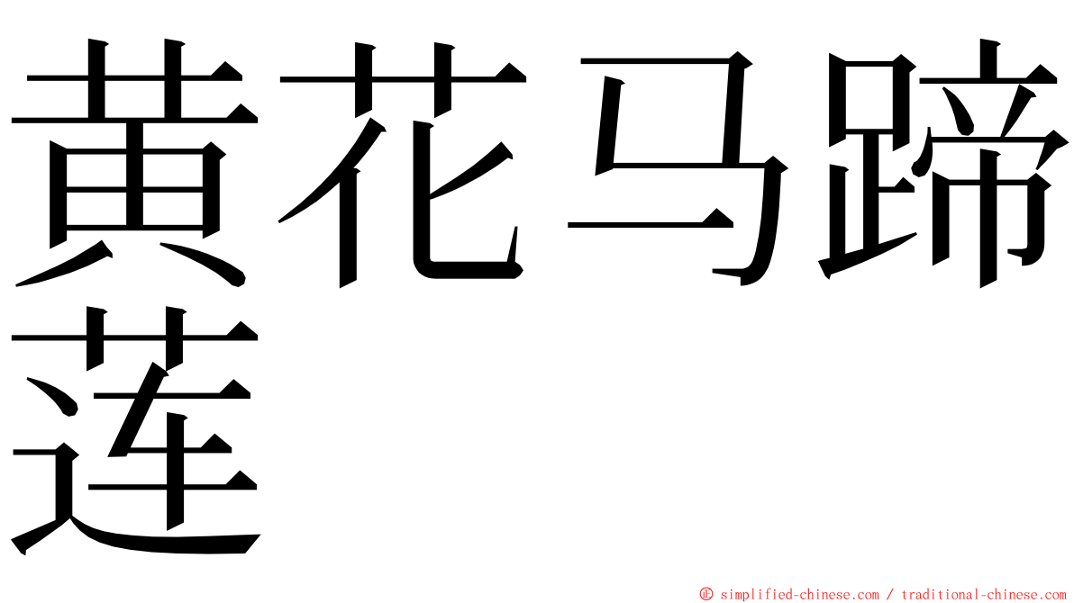 黄花马蹄莲 ming font