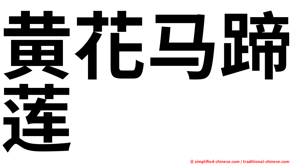 黄花马蹄莲