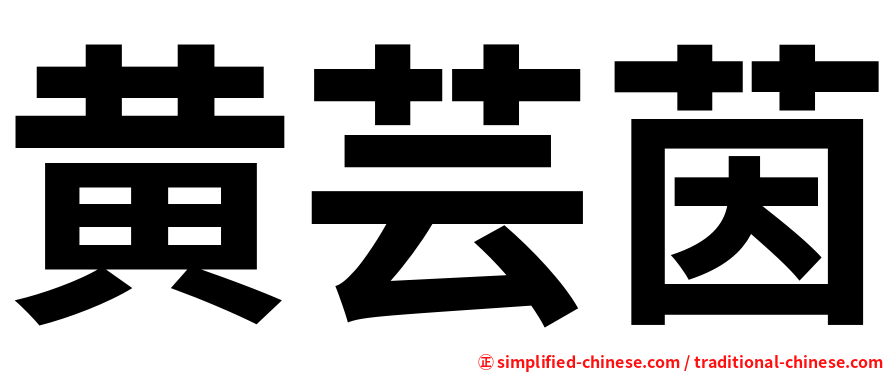 黄芸茵
