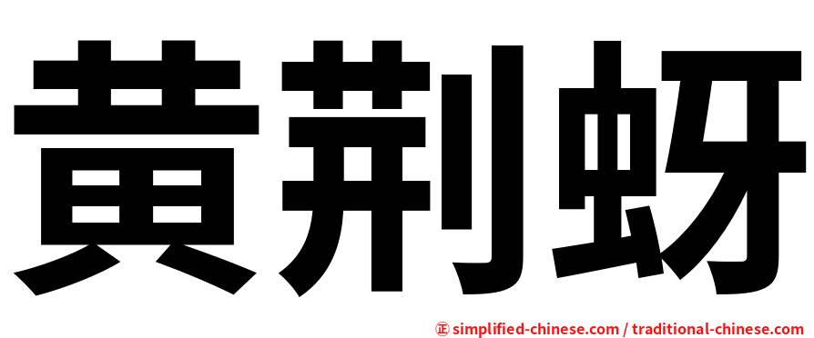 黄荆蚜