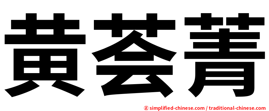 黄荟菁