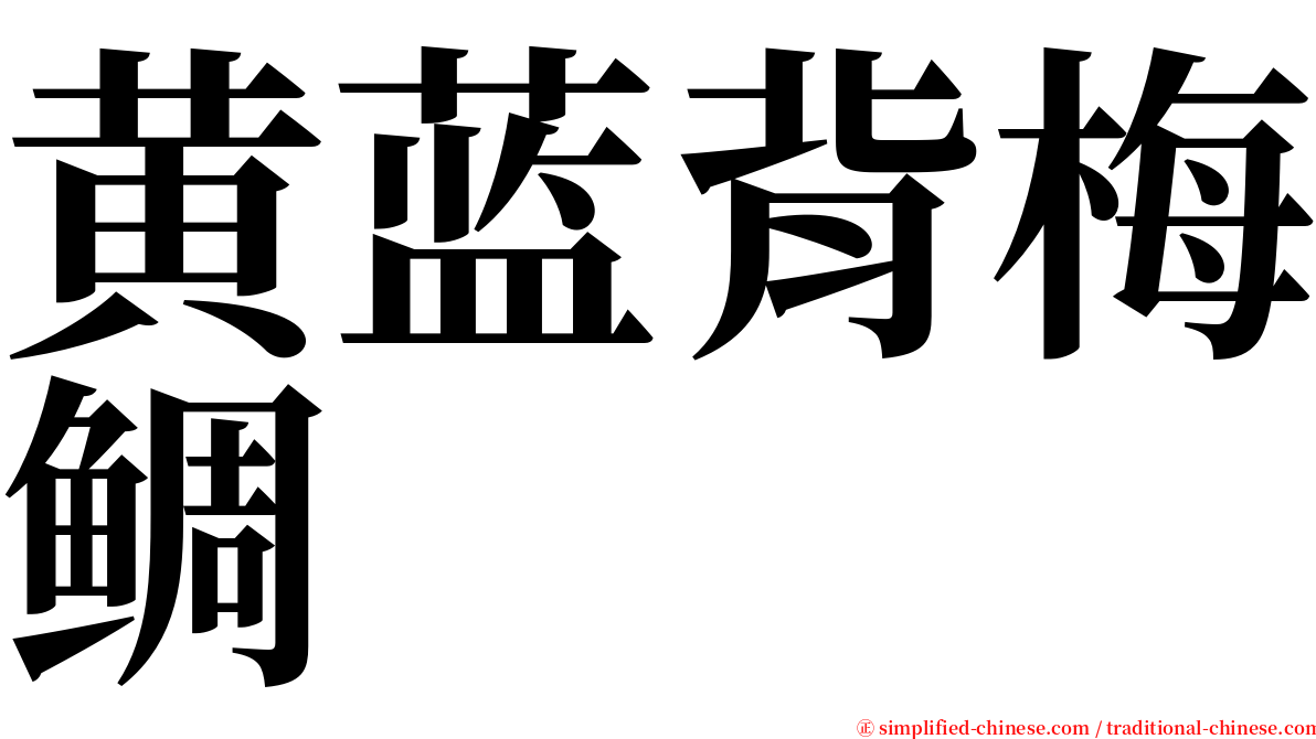 黄蓝背梅鲷 serif font