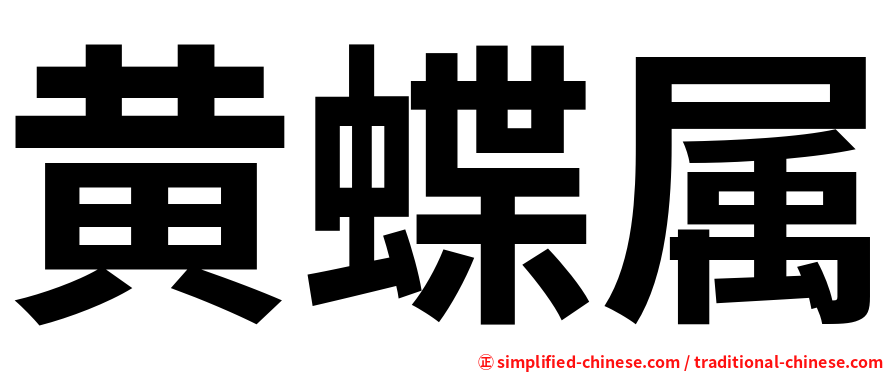 黄蝶属