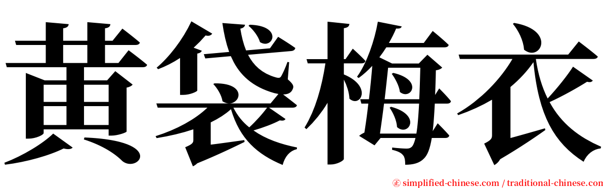黄袋梅衣 serif font