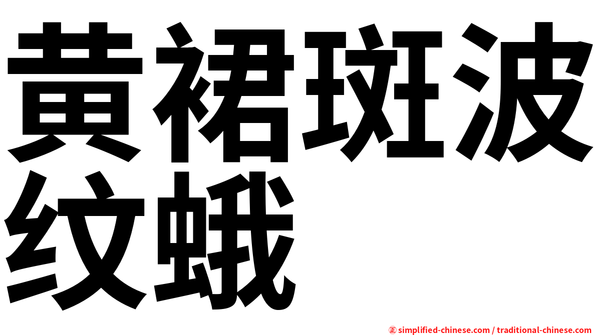 黄裙斑波纹蛾