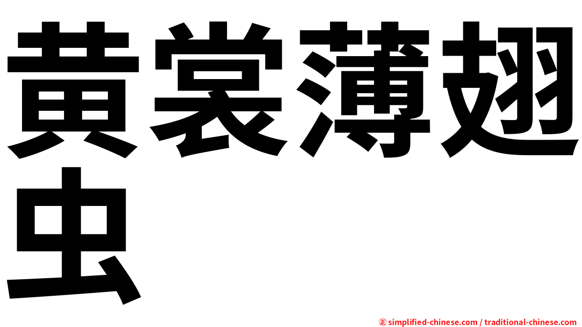 黄裳薄翅虫