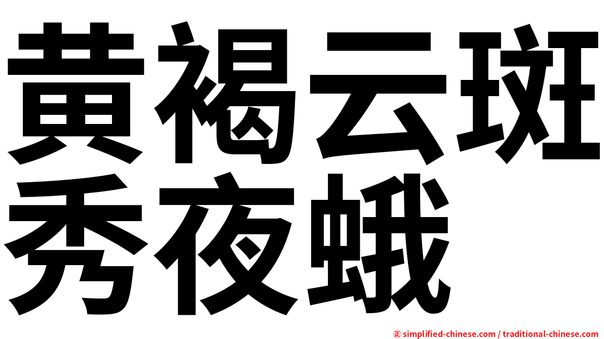 黄褐云斑秀夜蛾