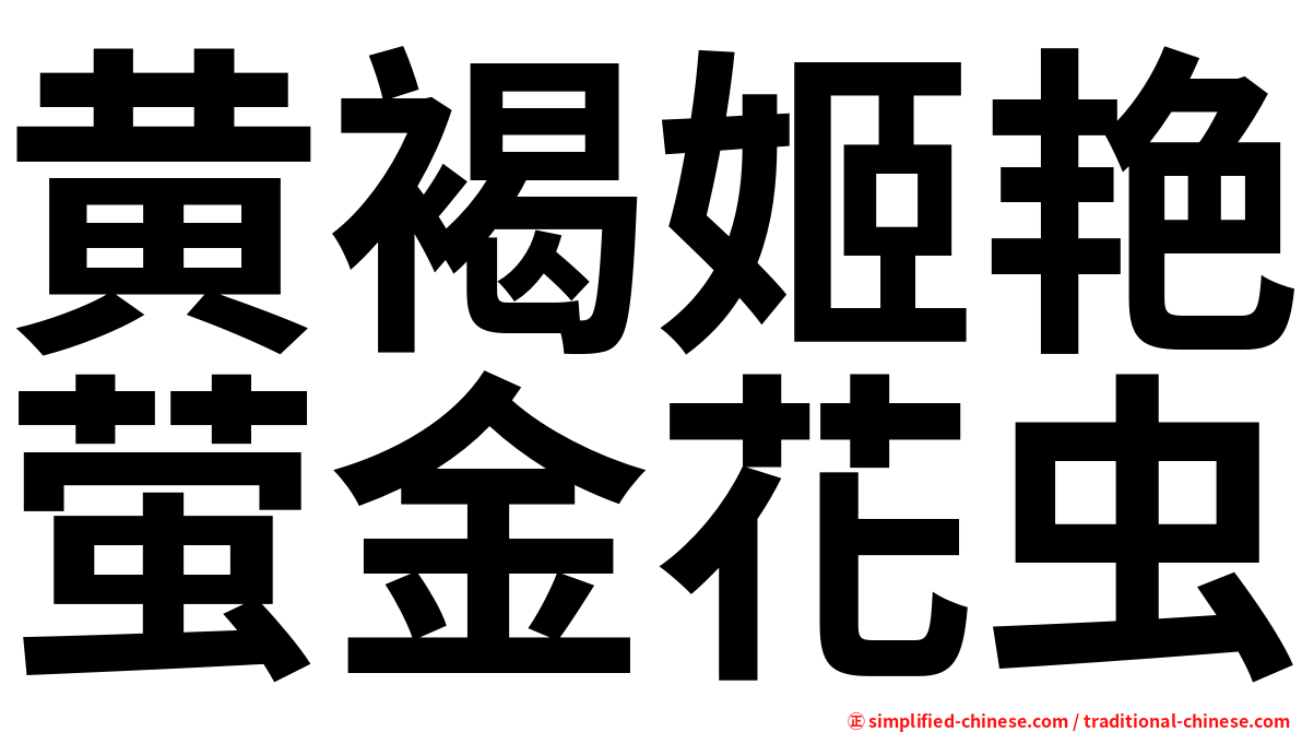 黄褐姬艳萤金花虫