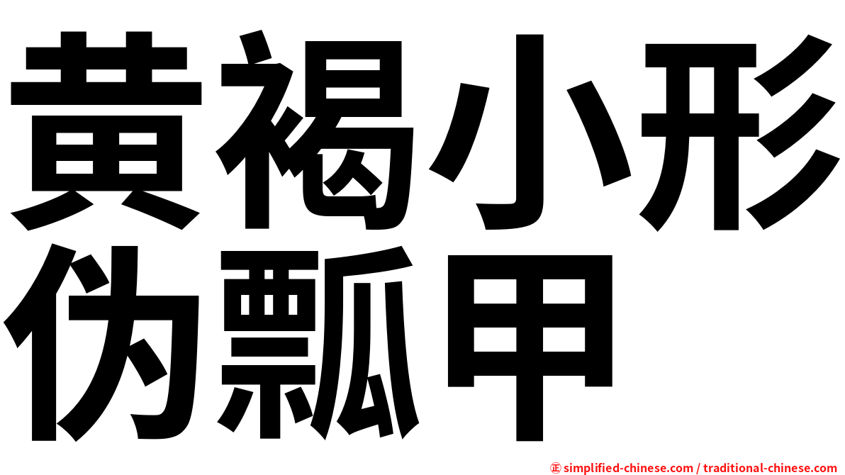 黄褐小形伪瓢甲