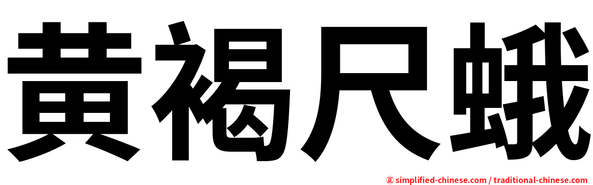 黄褐尺蛾