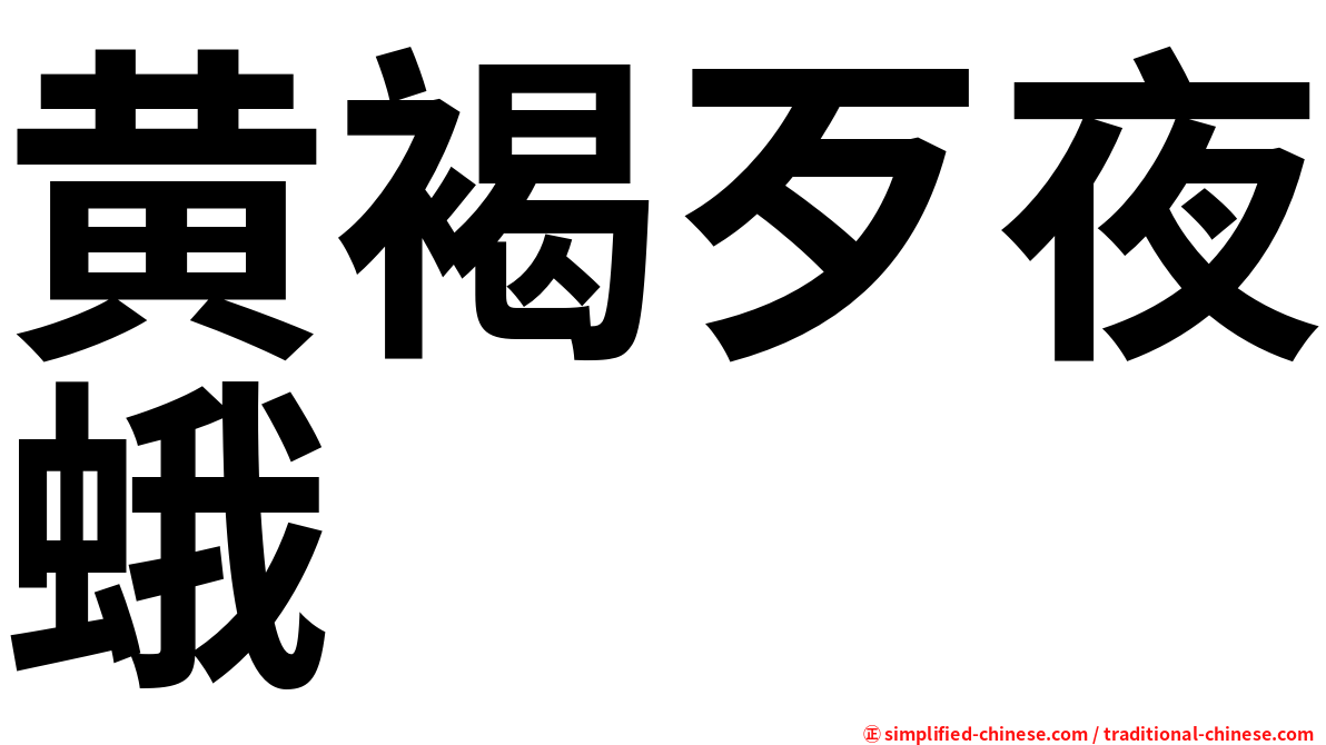 黄褐歹夜蛾