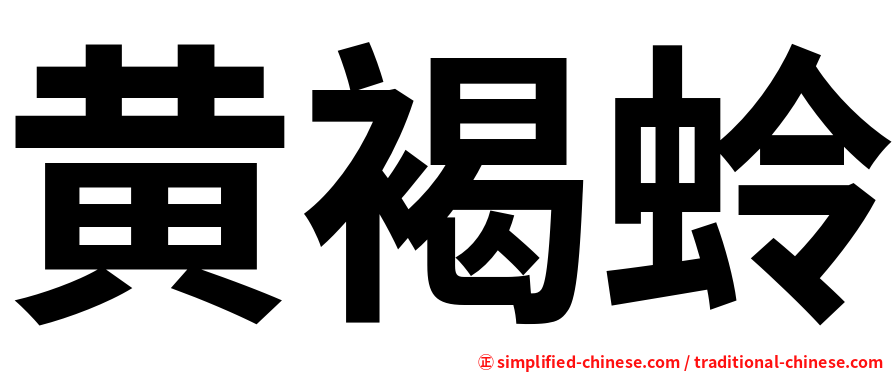 黄褐蛉