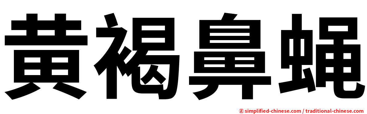 黄褐鼻蝇