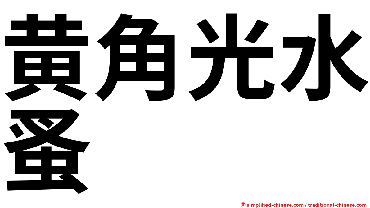 黄角光水蚤