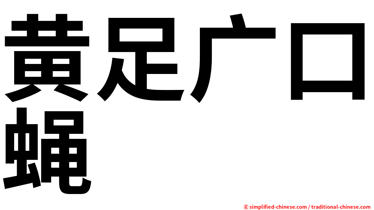 黄足广口蝇