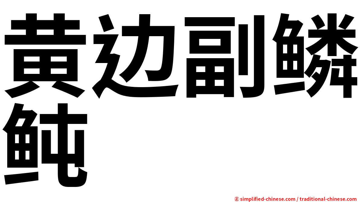 黄边副鳞鲀