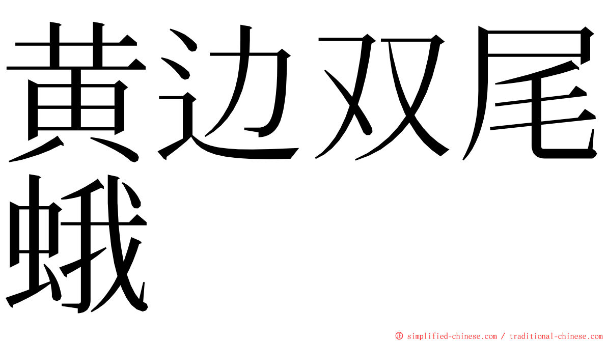黄边双尾蛾 ming font