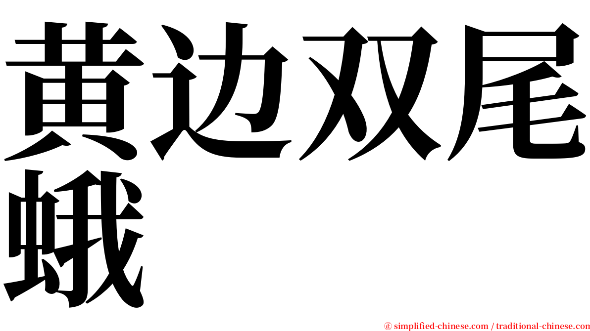 黄边双尾蛾 serif font