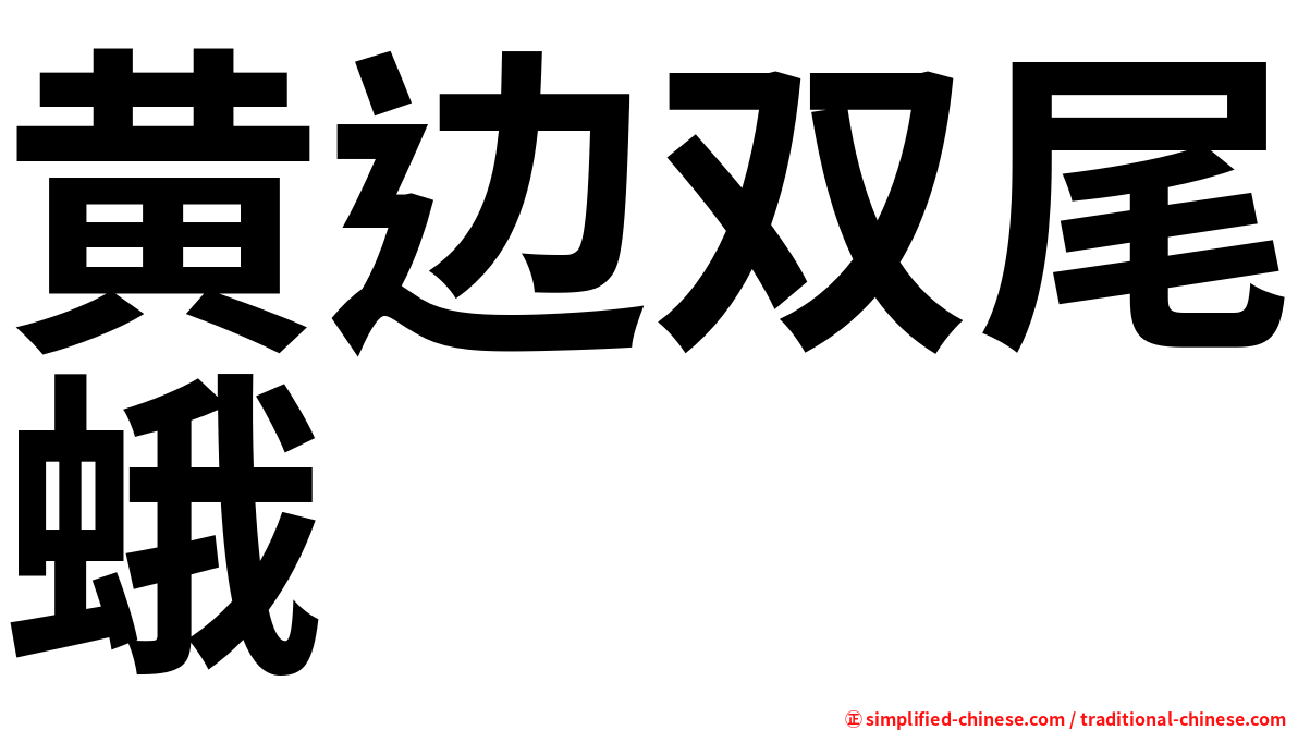 黄边双尾蛾