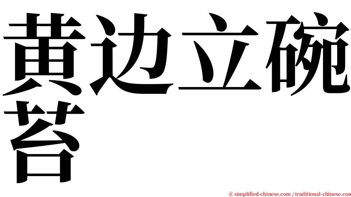 黄边立碗苔 serif font