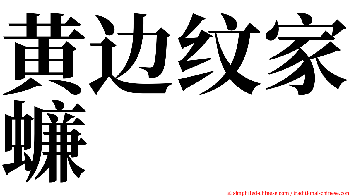 黄边纹家蠊 serif font