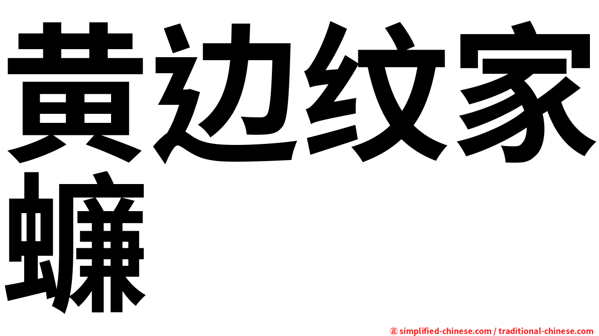 黄边纹家蠊