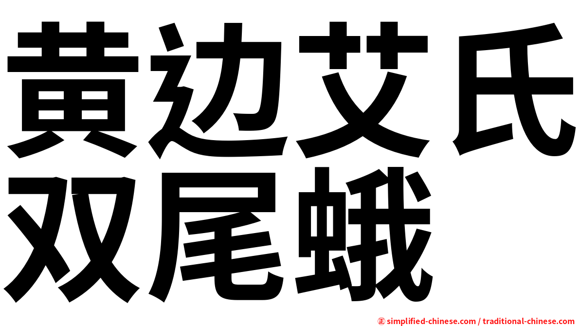 黄边艾氏双尾蛾