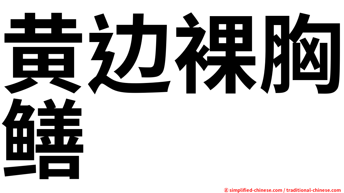黄边裸胸鳝