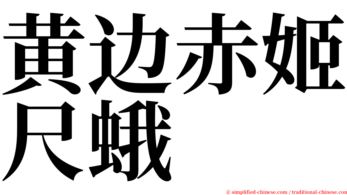 黄边赤姬尺蛾 serif font