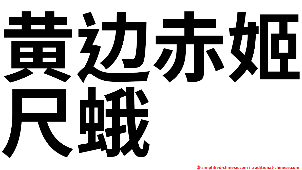 黄边赤姬尺蛾