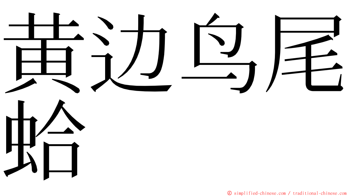 黄边鸟尾蛤 ming font