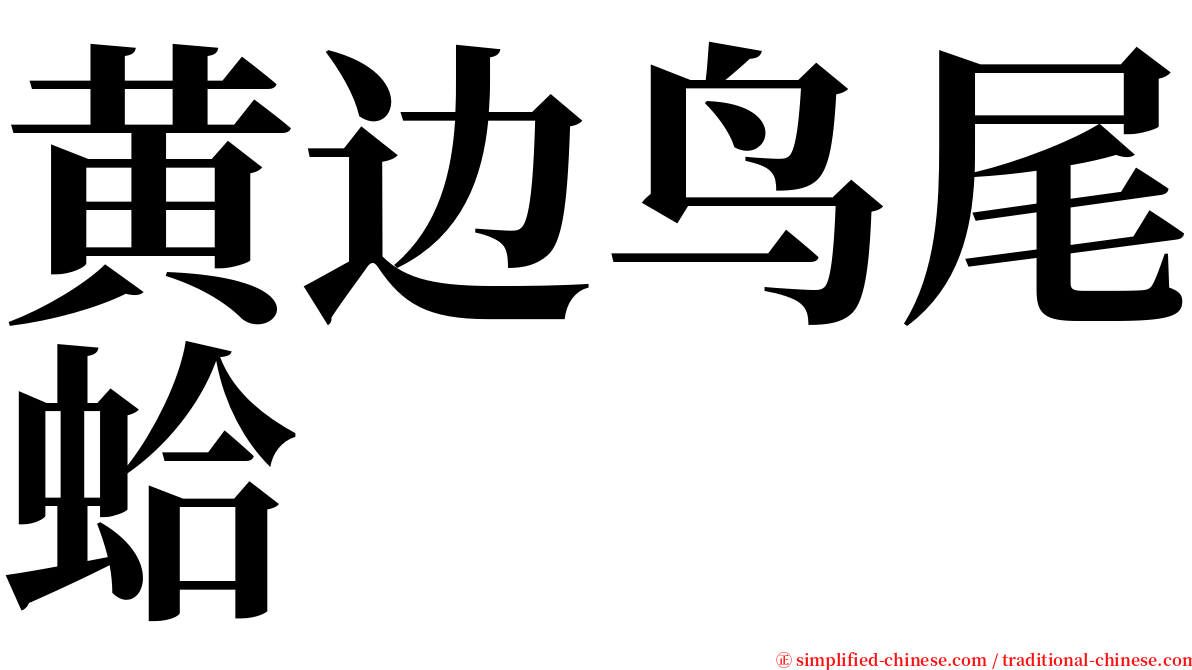 黄边鸟尾蛤 serif font