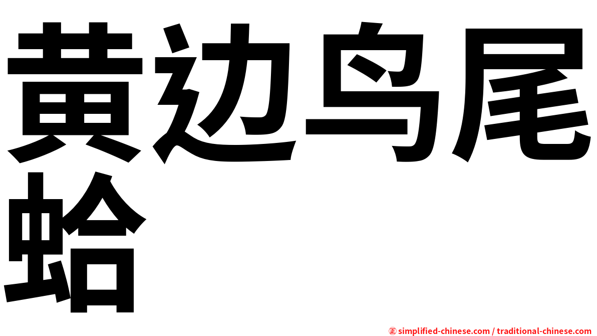 黄边鸟尾蛤